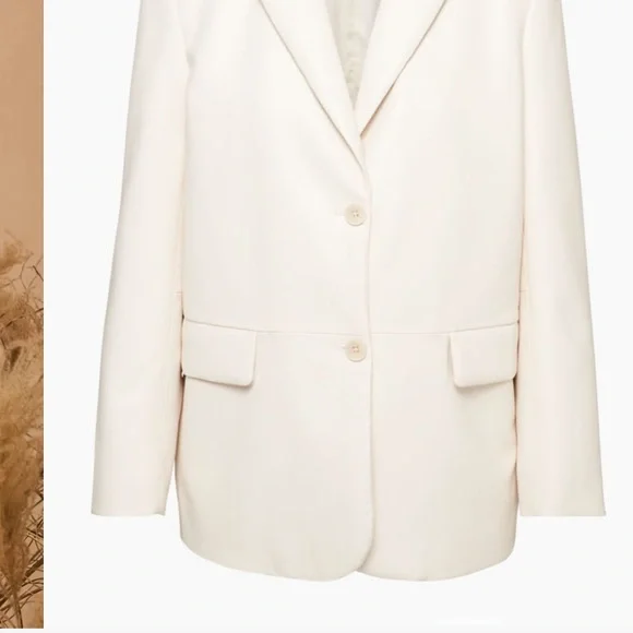 Wilfred aritzia 
Memories Blazer - Picture 3 of 6